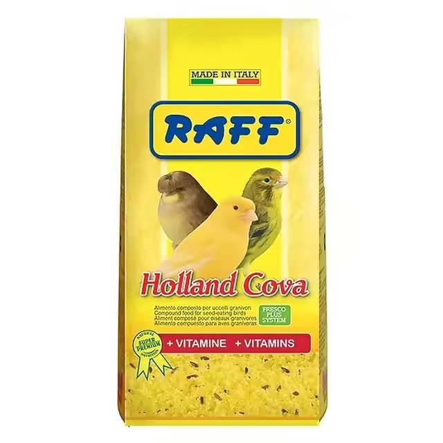 RAFF HOLLAND COVA 300G