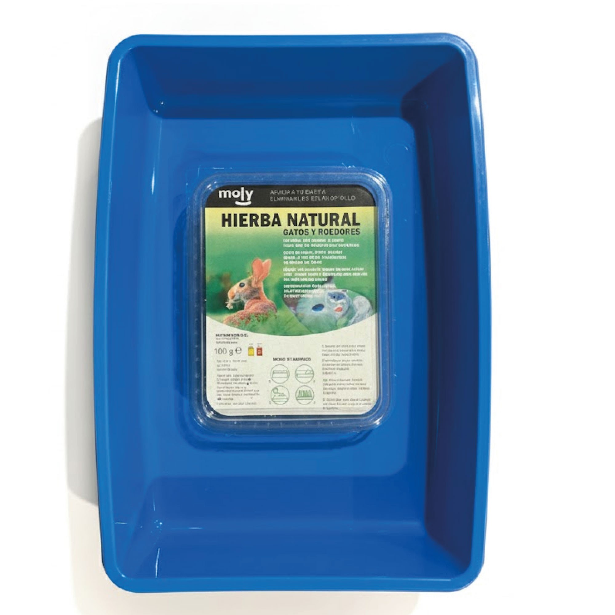 KIT HIERBA DE GATOS MOLY 100 GR CON BANDEJA COMPACTA-2 UNID