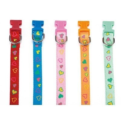 COLLAR NYLON LOVE 23-35 X 1cm C/CASCABEL