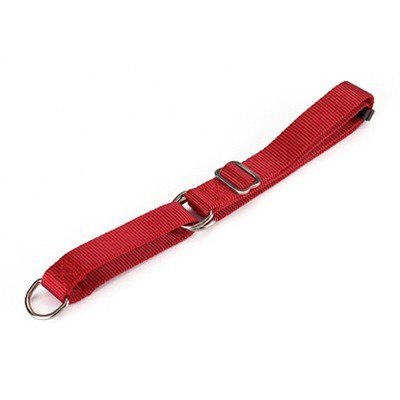 COLLAR NYLON ADIESTRAMIENTO 85X2.5 CM